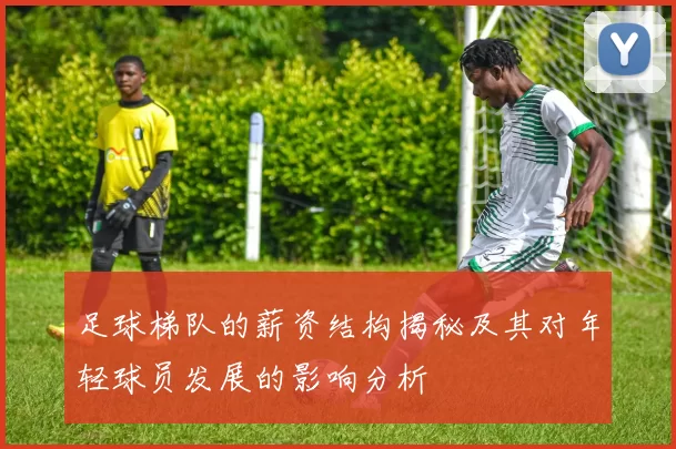 足球梯队的薪资结构揭秘及其对年轻球员发展的影响分析